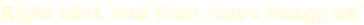 Right click and then ‘save image as’